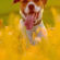 Dog In Yellow Flower Field 4K Ultra HD Mobile Wallpaper