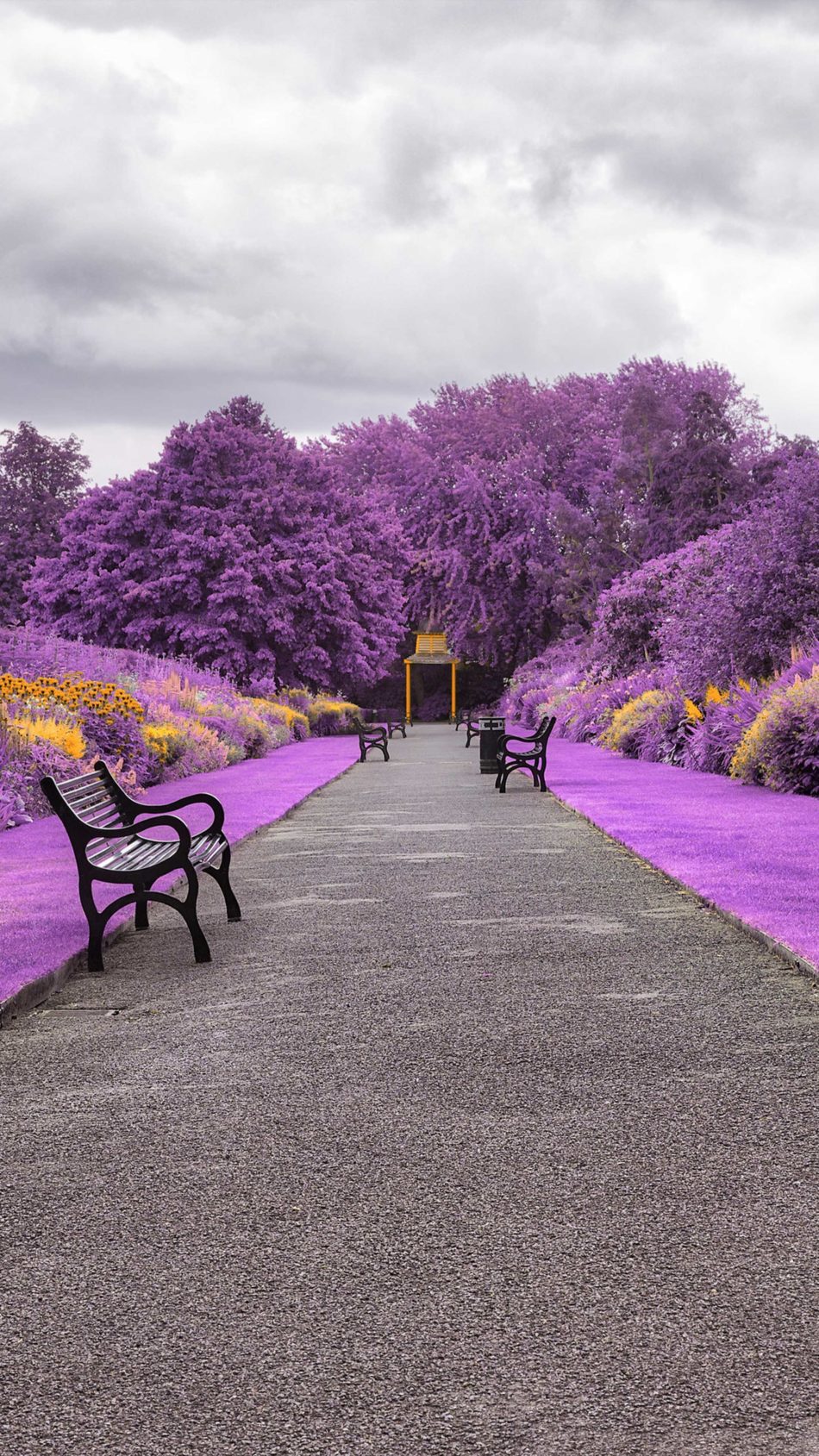 Garden Botanical Park Purple 4K Ultra HD Mobile Wallpaper