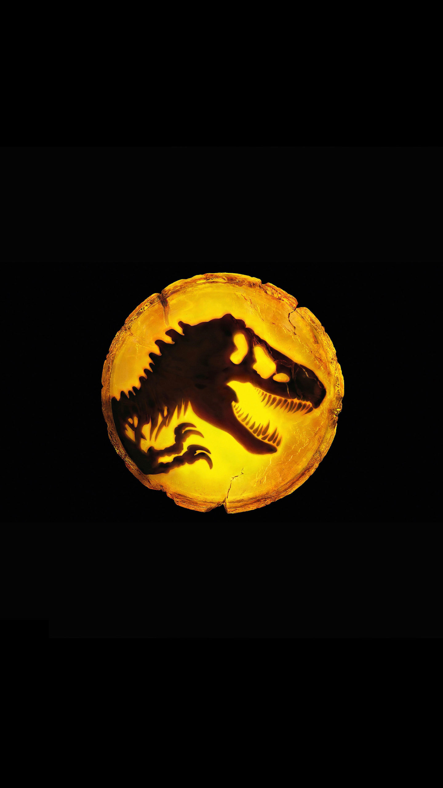 Jurassic park HD wallpapers  Pxfuel