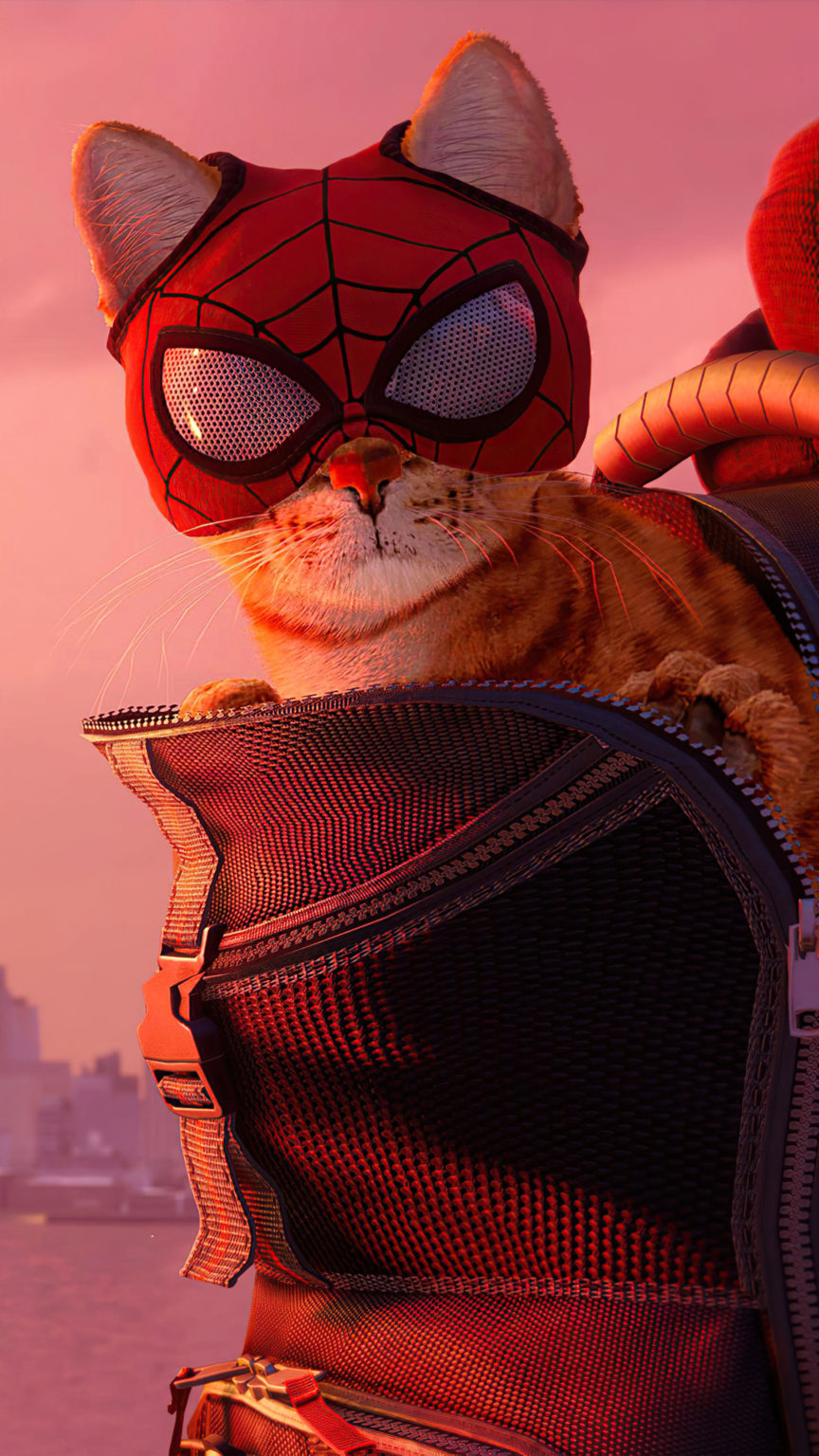 miles morales and spider cat