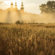Castle Morning Sun Ray Grass 4K Ultra HD Mobile Wallpaper