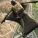 Wingsuit Battlefield 2042 4K Ultra HD Mobile Wallpaper