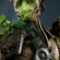 Groot Marvel's Guardians of The Galaxy Game 4K Ultra HD Mobile Wallpaper