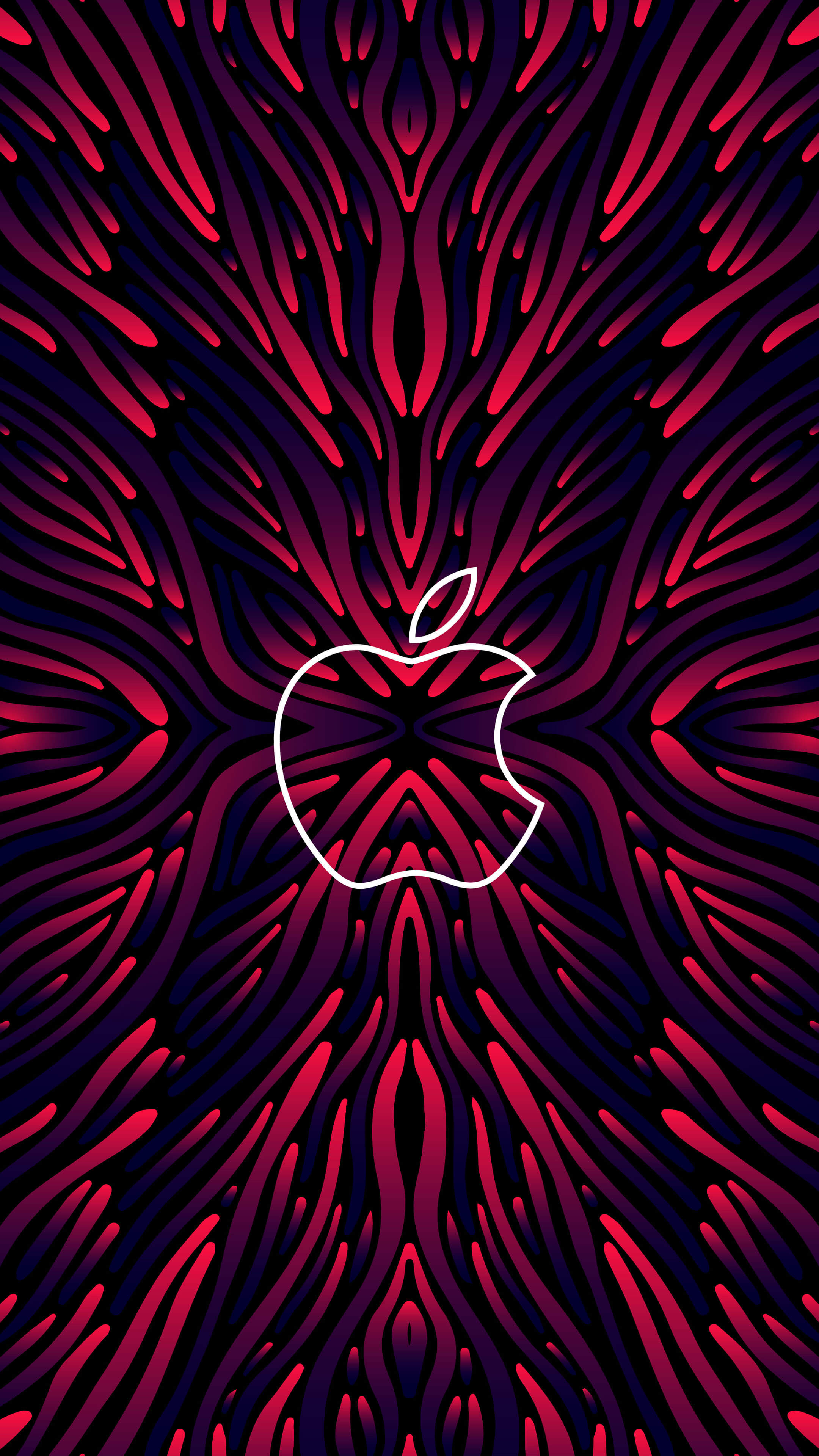 4K Apple Logo Minimalistic Apple wallpaper  rwallpapers