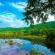 Lake Green Trees Blue Sky 4K Ultra HD Mobile Wallpaper