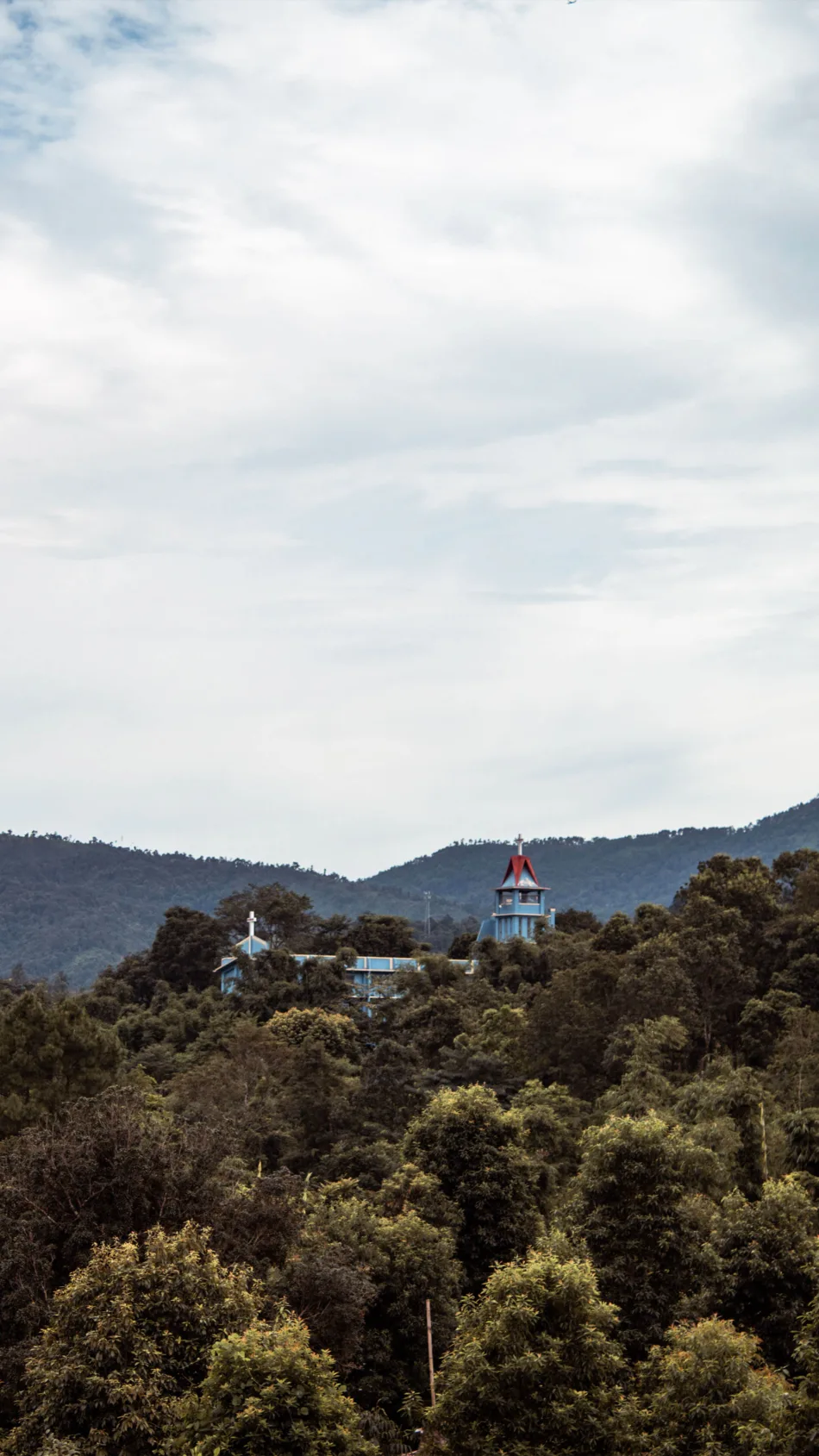 Church Surrounded By Forest and Trees