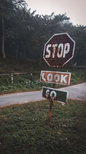 Stop Look Go Banner Sign Forest