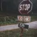 Stop Look Go Banner Sign Forest