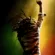 Bob Marley - One Love Movie Poster 4K Ultra HD Mobile Wallpaper