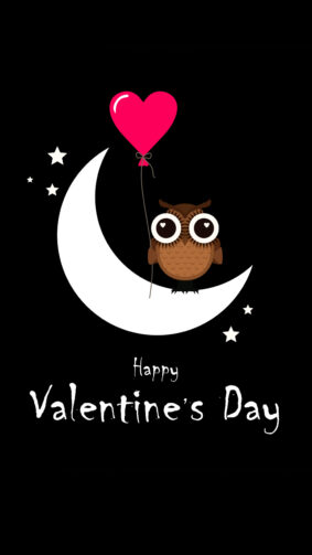 Happy Valentine's Day Owl Moon 4K Ultra HD Mobile Wallpaper