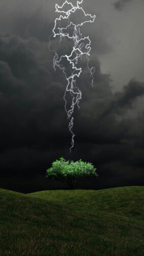 Lightning On The Tree Cloud 4K Ultra HD Mobile Wallpaper