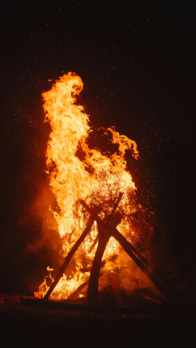 Night Bonfire Forest 4K Ultra HD Mobile Wallpaper