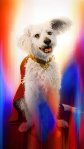 Krypto Superdog In Superman 2025 4K Ultra HD Mobile Wallpaper