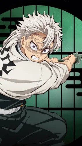 Sanemi Shinazugawa - Infinity Castle (Demon Slayer - Kimetsu No Yaiba)